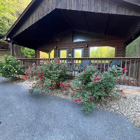 Beary Tale! Your Happily Ever After Starts Here! Sevierville Exterior foto